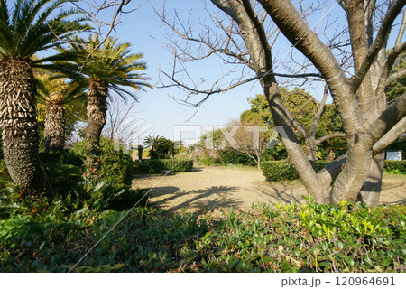 逗子市立 大崎公園 逗子市立 大崎公園 120964691