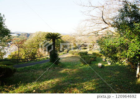 逗子市立 大崎公園 逗子市立 大崎公園 120964692