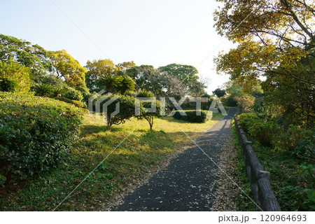 逗子市立 大崎公園 逗子市立 大崎公園 120964693