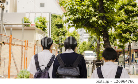 初夏 男子高校生の帰り道 後ろ姿 初夏 男子高校生の帰り道 後ろ姿 120964766