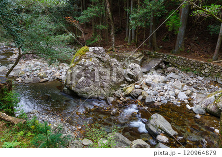 くらがり渓谷の秋(愛知県岡崎市) くらがり渓谷の秋(愛知県岡崎市) 120964879