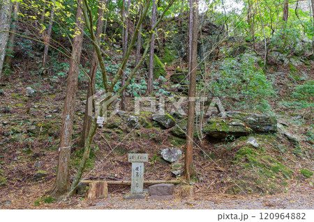 くらがり渓谷のさるとび岩(愛知県岡崎市) くらがり渓谷のさるとび岩(愛知県岡崎市) 120964882