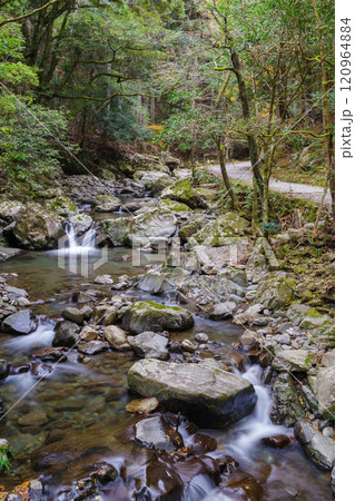 くらがり渓谷の渓流(愛知県岡崎市) くらがり渓谷の渓流(愛知県岡崎市) 120964884