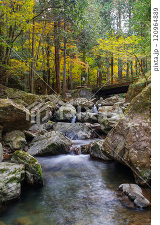 くらがり渓谷の秋（愛知県岡崎市） 120964889