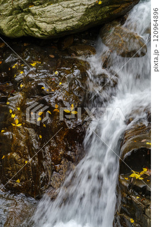 くらがり渓谷の渓流(愛知県岡崎市) くらがり渓谷の渓流(愛知県岡崎市) 120964896