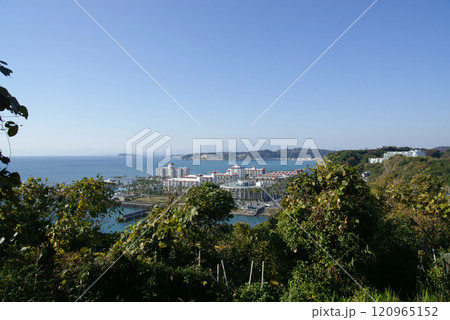 大崎公園山頂から江の島・逗子マリーナを望む 120965152