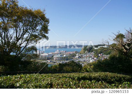 大崎公園山頂から江の島・逗子マリーナを望む 大崎公園山頂から江の島・逗子マリーナを望む 120965153