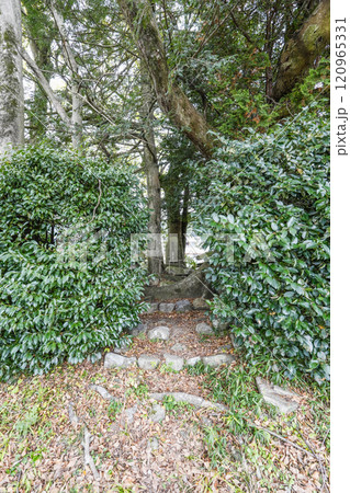 京都大原「乙が森（おつがもり）」 120965331