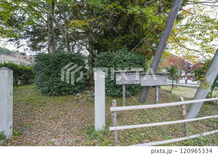 京都大原「乙が森（おつがもり）」 120965334