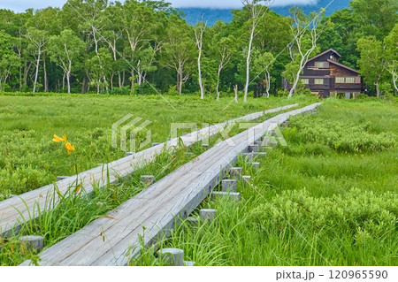 夏の群馬県片品村の尾瀬の中田代から龍宮小屋方面を見る 夏の群馬県片品村の尾瀬の中田代から龍宮小屋方面を見る 120965590