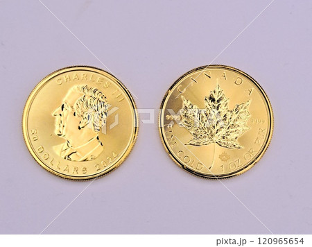 メープルリーフ金貨2枚 120965654