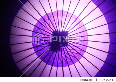 紫色の和傘 120965924