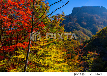 群馬県甘楽郡下仁田町と長野県佐久市に跨る荒船山　山麓の紅葉と山のシルエット 120966219