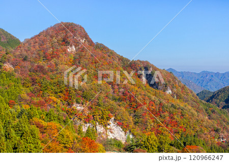 群馬県甘楽郡下仁田町と長野県佐久市に跨る荒船山山麓の紅葉 120966247