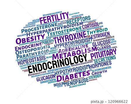 Endocrinology Word Cloud 120966622