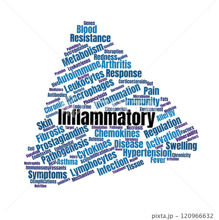 Inflammatiory Word Cloud 120966632