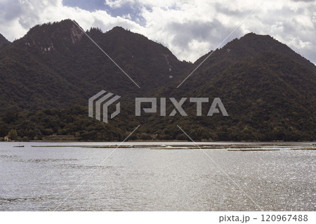 【広島宮島口　宮島口JR西日本宮島フェリーからの蠣いかだ】 120967488