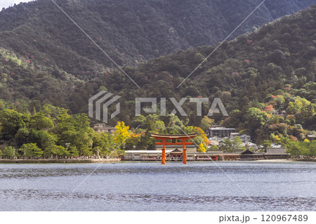 【広島宮島　宮島口JR西日本宮島フェリーからの大鳥居】 120967489