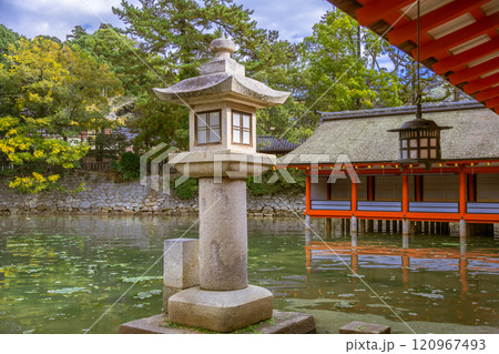【広島宮島 厳島神社の石灯篭】 【広島宮島 厳島神社の石灯篭】 120967493