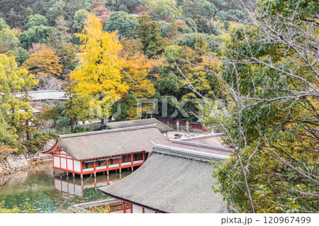 【広島宮島　豊国神社から望む厳島神社】 120967499