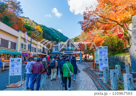 紅葉の高尾山　朝から賑わうケーブルカーの清滝駅前 120967565