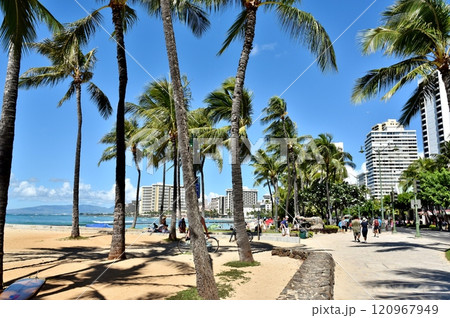 ハワイの休日 ハワイの休日 120967949