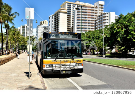 ハワイの休日 ハワイの休日 120967956