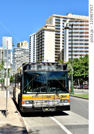 ハワイの休日 ハワイの休日 120967957