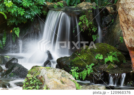 Waterfall in the Brisbane Botanic Gardens Waterfall in the Brisbane Botanic Gardens 120968376