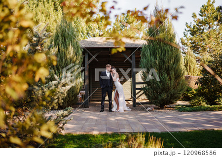 Beautiful and in love bride and groom on a walk in the autumn park 120968586