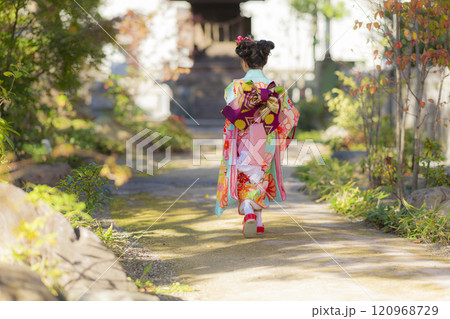 七五三の女の子の後ろ姿 120968729
