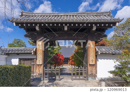 秋の京都 妙顯寺(妙顕寺) 大本堂へ向かう紅葉に包まれた参道 秋の京都 妙顯寺(妙顕寺) 大本堂へ向かう紅葉に包まれた参道 120969013