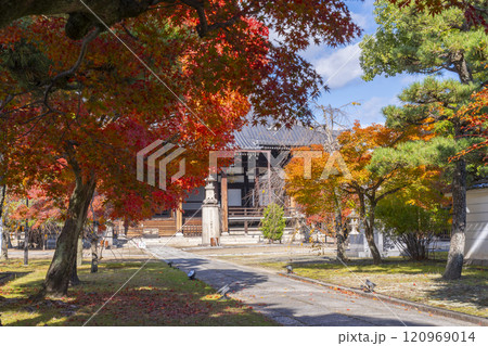 秋の京都 妙顯寺(妙顕寺) 大本堂へ向かう紅葉に包まれた参道 秋の京都 妙顯寺(妙顕寺) 大本堂へ向かう紅葉に包まれた参道 120969014