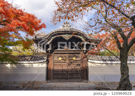 秋の京都 妙顯寺(妙顕寺) 紅葉に包まれた勅使門 秋の京都 妙顯寺(妙顕寺) 紅葉に包まれた勅使門 120969028