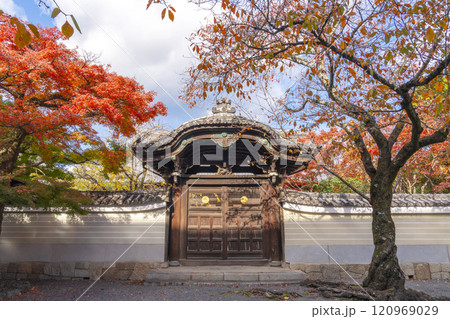 秋の京都 妙顯寺(妙顕寺) 紅葉に包まれた勅使門 秋の京都 妙顯寺(妙顕寺) 紅葉に包まれた勅使門 120969029
