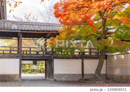 秋の京都 妙顯寺(妙顕寺) 紅葉に包まれた回廊 秋の京都 妙顯寺(妙顕寺) 紅葉に包まれた回廊 120969031
