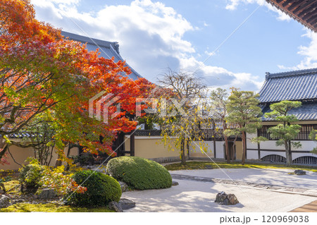 京都　妙顯寺（妙顕寺）　紅葉が美しい四海唱導の庭 120969038