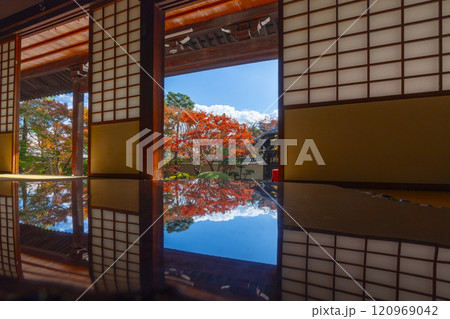 京都　妙顯寺（妙顕寺）　紅葉が美しい四海唱導の庭 120969042