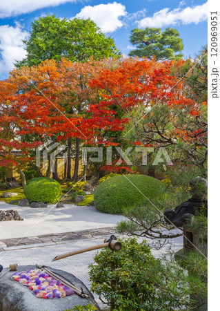京都 妙顯寺(妙顕寺) 紅葉が美しい四海唱導の庭 京都 妙顯寺(妙顕寺) 紅葉が美しい四海唱導の庭 120969051