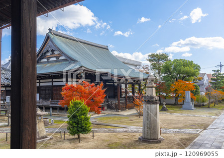秋の京都　妙顯寺（妙顕寺）　紅葉に包まれた三菩薩堂 120969055