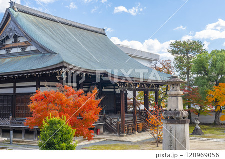 秋の京都　妙顯寺（妙顕寺）　紅葉に包まれた三菩薩堂 120969056