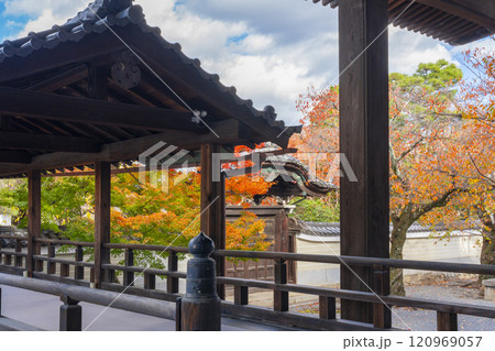 秋の京都 妙顯寺(妙顕寺) 紅葉に包まれた勅使門 秋の京都 妙顯寺(妙顕寺) 紅葉に包まれた勅使門 120969057