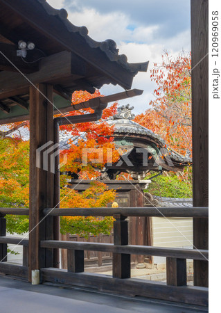 秋の京都　妙顯寺（妙顕寺）　紅葉に包まれた勅使門 120969058