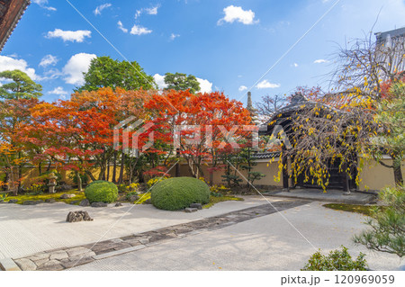 京都 妙顯寺(妙顕寺) 紅葉が美しい四海唱導の庭 京都 妙顯寺(妙顕寺) 紅葉が美しい四海唱導の庭 120969059