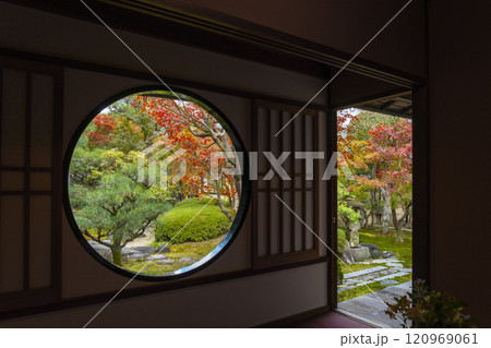 秋の京都　妙顯寺（妙顕寺）　円窓から見た光琳曲水の庭 120969061