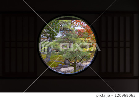 秋の京都　妙顯寺（妙顕寺）　円窓から見た光琳曲水の庭 120969063