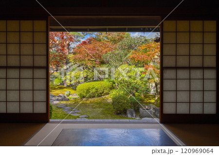 秋の京都　妙顯寺（妙顕寺）　光琳曲水の庭 120969064