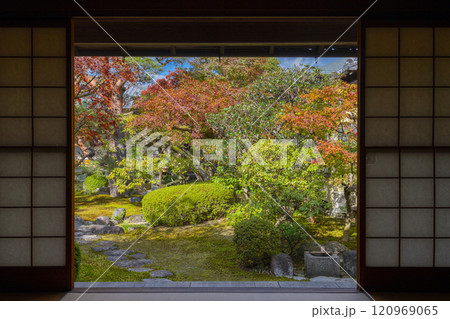 秋の京都　妙顯寺（妙顕寺）　光琳曲水の庭 120969065