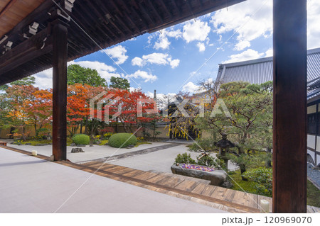 京都　妙顯寺（妙顕寺）　紅葉が美しい四海唱導の庭 120969070