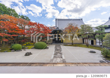 京都 妙顯寺(妙顕寺) 紅葉が美しい四海唱導の庭 京都 妙顯寺(妙顕寺) 紅葉が美しい四海唱導の庭 120969073